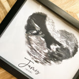 birds eye view black and white sonography  art in black frame