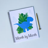 monht by month section baby book with dinosaurs