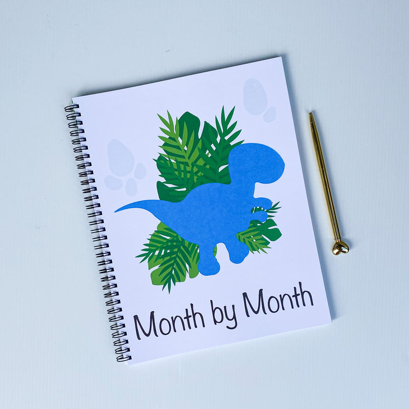 monht by month section baby book with dinosaurs